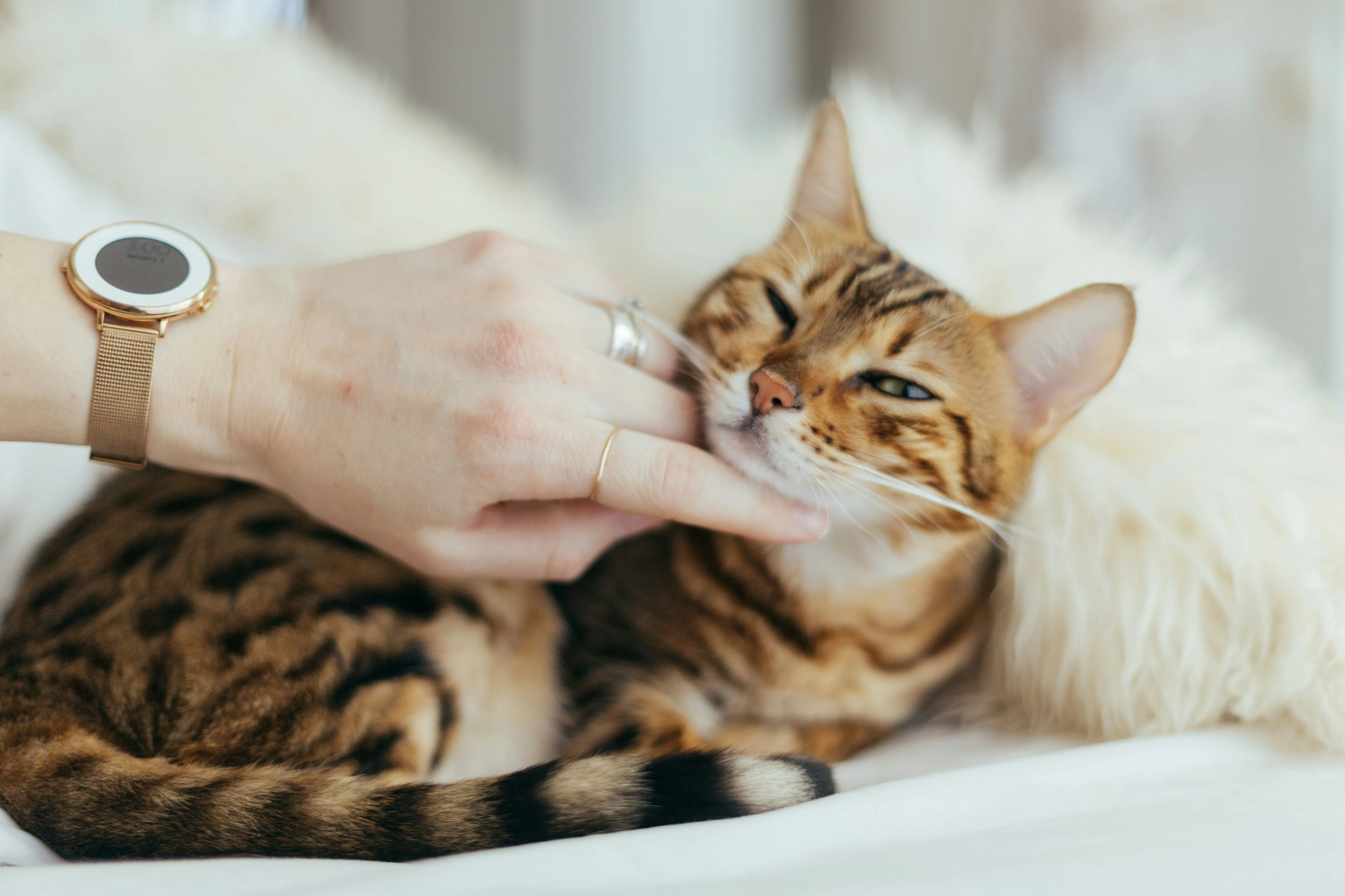 Paul Hanaoka C0zdwapft9a Unsplash