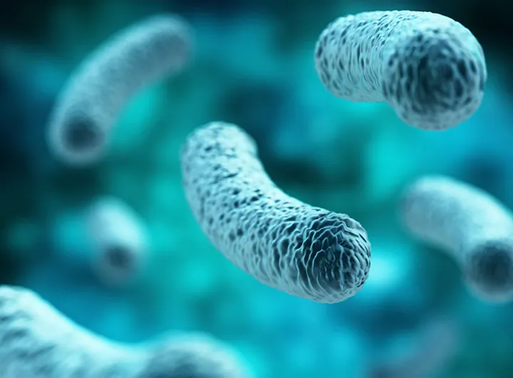 Probiotic Portfolio - Medium Image 720X530