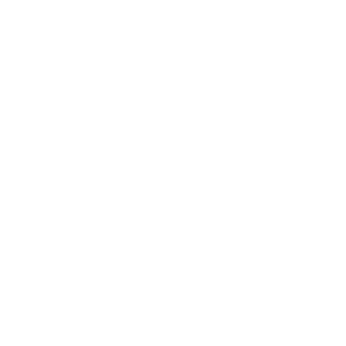 Icons8 Facebook 500